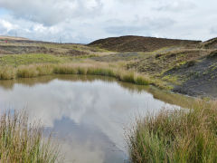 Rhas Fach ponds on the Patches, Brynmawr, October 2012